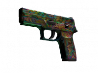 P250 Visions